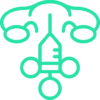 uterus